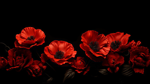 1676674 (a): :1920x1080